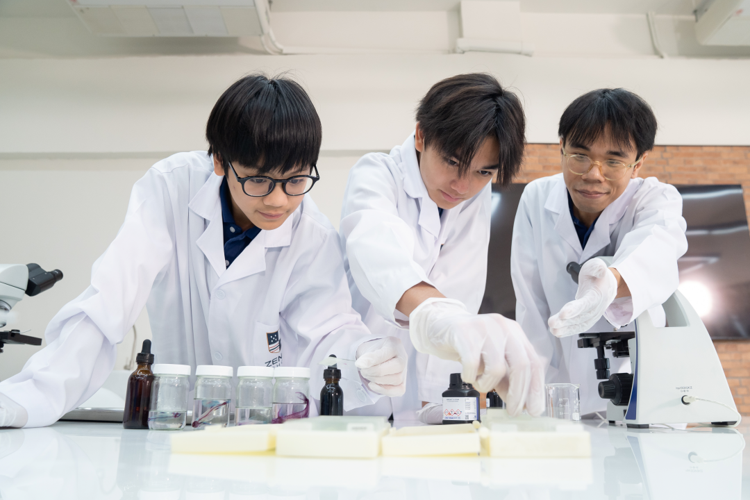 How Is a Pre-Medical School Different from a Regular School? | Zenith School
