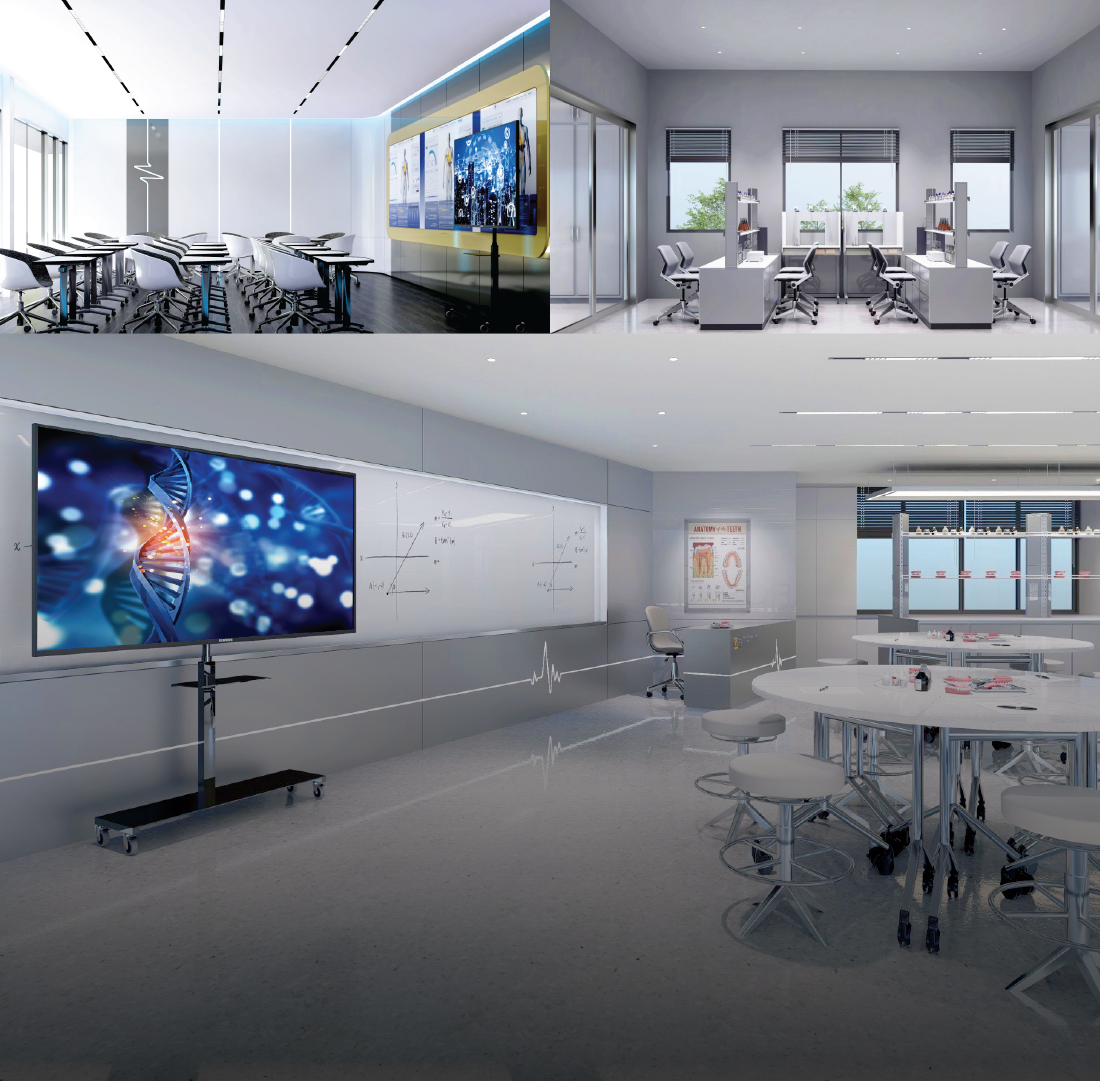 Zenith Learning Environment